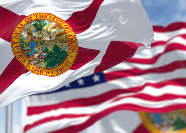 The Florida state flag waving along with the national flag of the United States of America. In the background there is a clear sky.