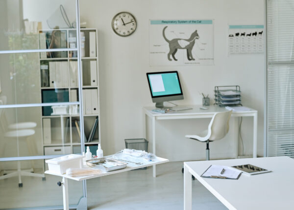 Horizontal image of modern vet clinic with workplace with computer