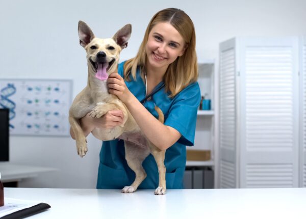 Smiling vet doctor stroking smiling dog at veterinary clinic, pet health checkup